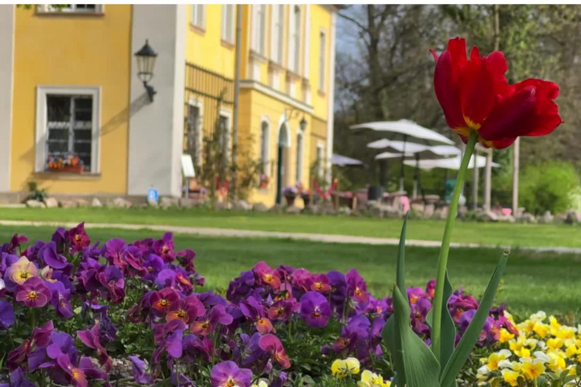 Pałac łomnica - Karkonosze / Riesengebirge Hotel Jelenia Góra